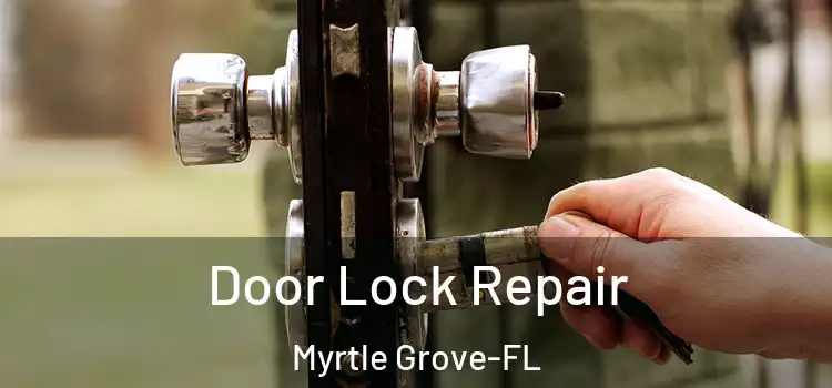  Door Lock Repair Myrtle Grove-FL