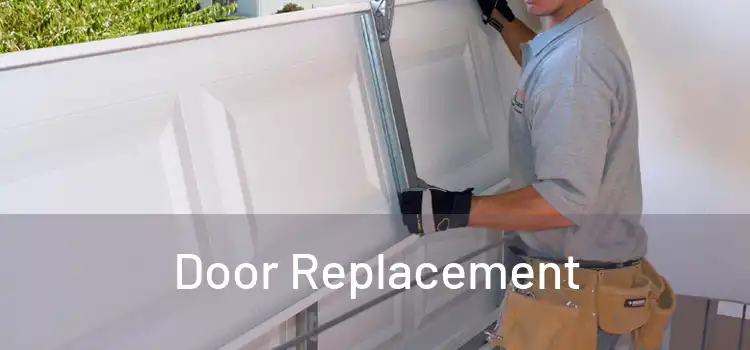  Door Replacement 