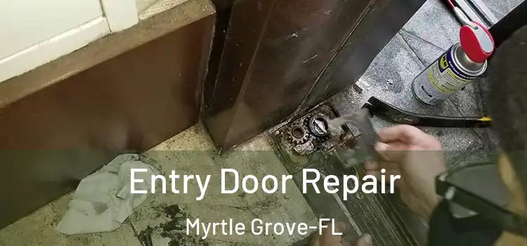  Entry Door Repair Myrtle Grove-FL
