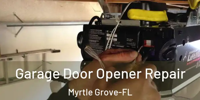  Garage Door Opener Repair Myrtle Grove-FL