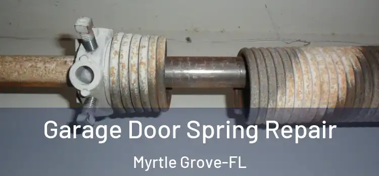  Garage Door Spring Repair Myrtle Grove-FL