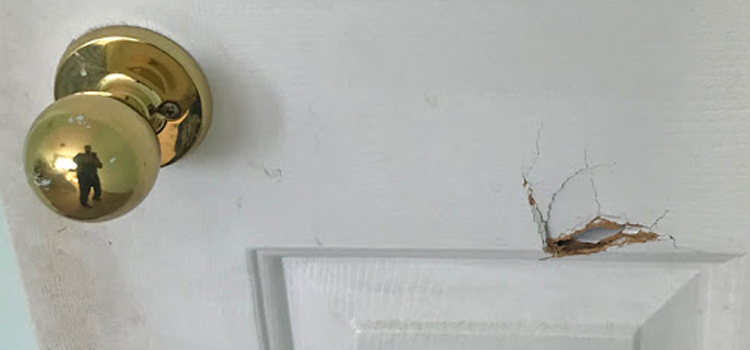 interior door hole repair Myrtle Grove