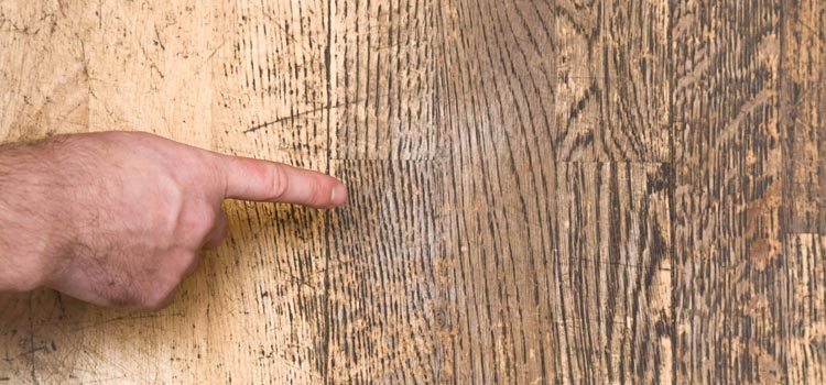 Wood Door Scratch Repair in Myrtle Grove