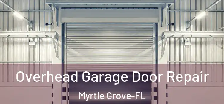  Overhead Garage Door Repair Myrtle Grove-FL