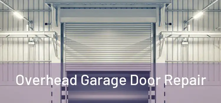  Overhead Garage Door Repair 