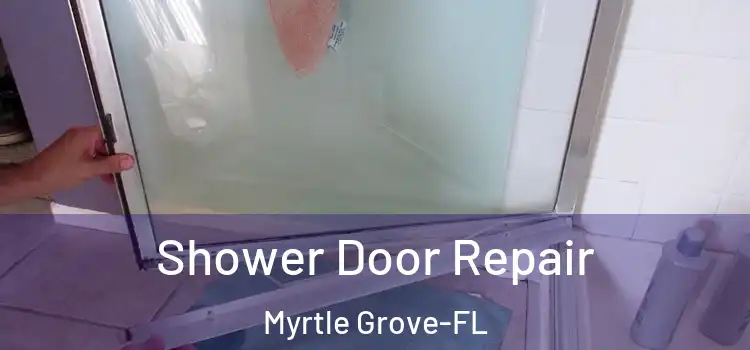  Shower Door Repair Myrtle Grove-FL