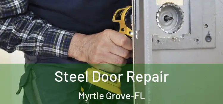  Steel Door Repair Myrtle Grove-FL