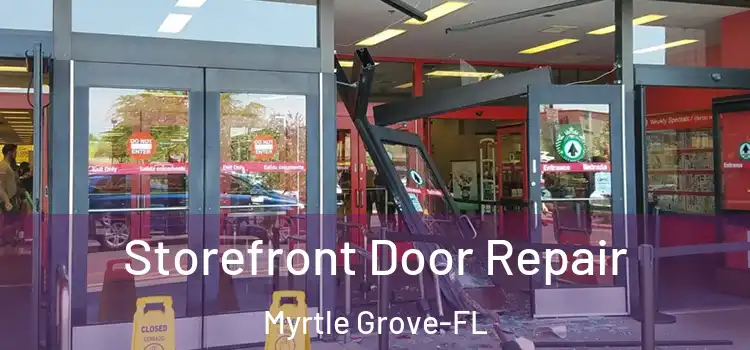  Storefront Door Repair Myrtle Grove-FL